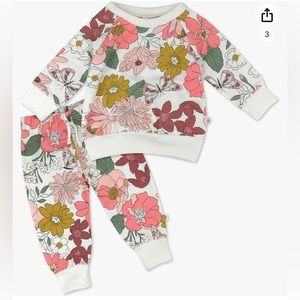 Honest Baby Organic Color Me Happy Sweatpants Set